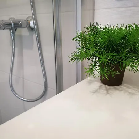 Casa Flipe - C Bragança