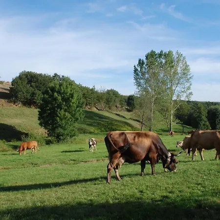 Casa Flipe - C Διαμέρισμα