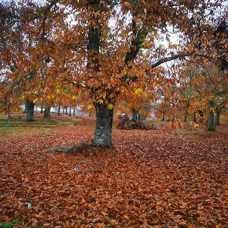 Casa Flipe - C Διαμέρισμα *