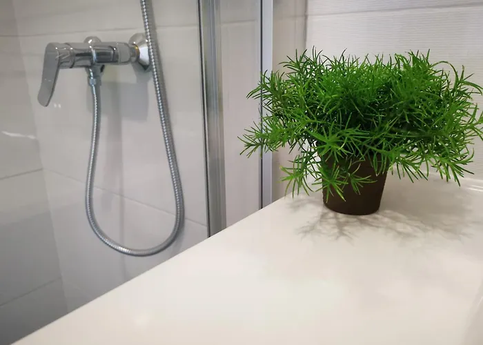 Casa Flipe - C Браганса