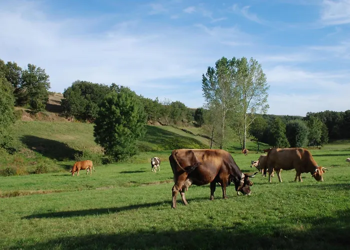 Casa Flipe - C شقة