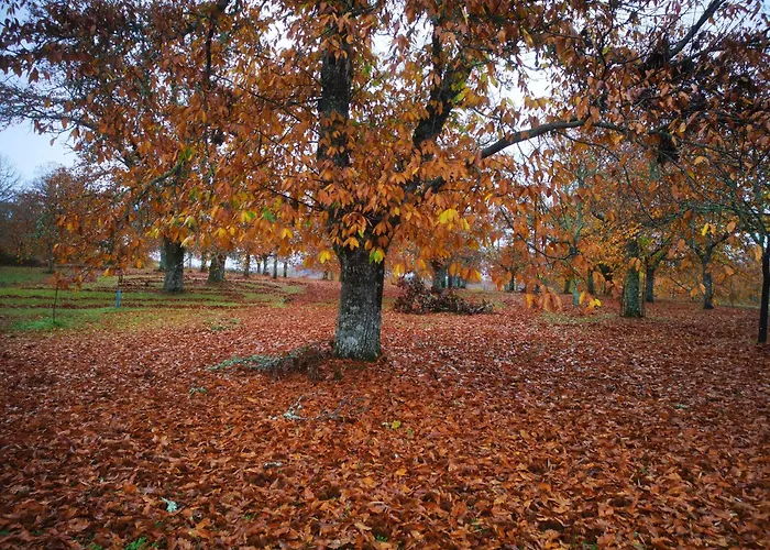 Casa Flipe - C Апартаменты *