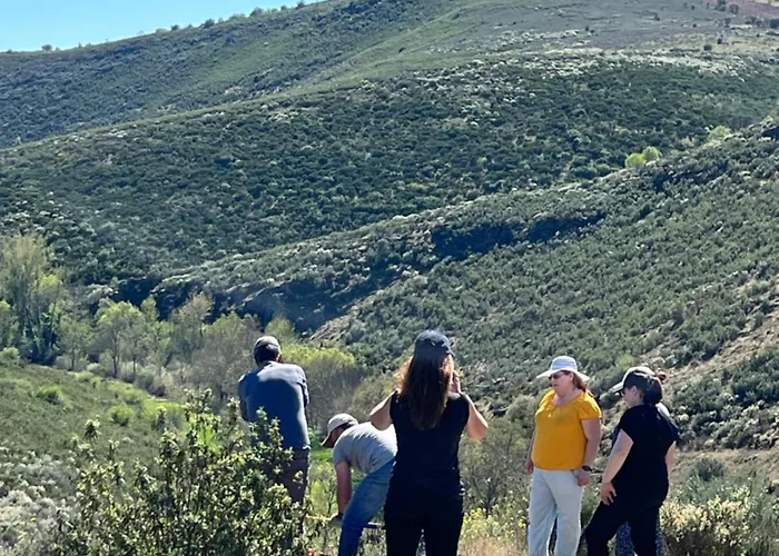 Casa Flipe - C Daire